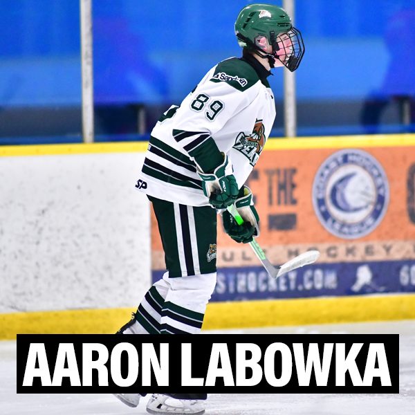 New Player Profiles Aaron Labowka