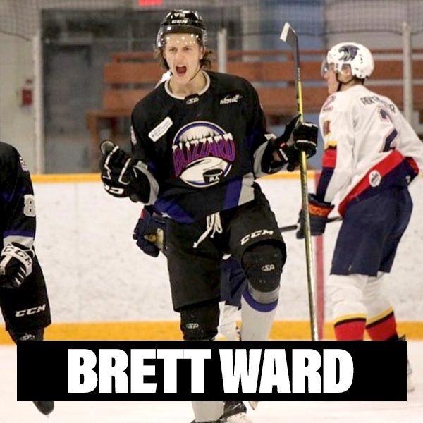 New Player Profiles Brett Ward
