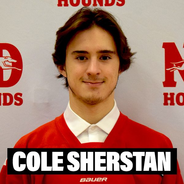 New Player Profiles Cole Sherstan ND