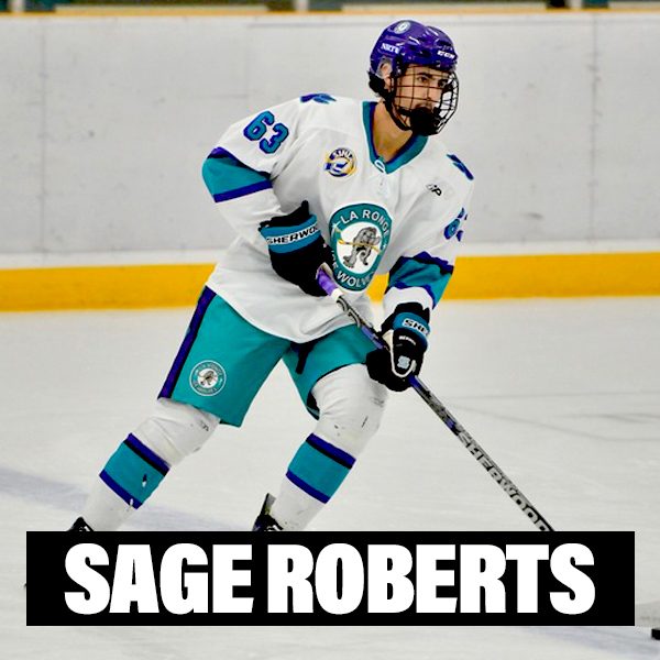 New Player Profiles Sage Roberts laronge