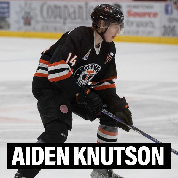 New Player Profiles aiden