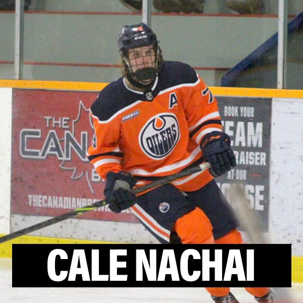 New Player Profiles cale