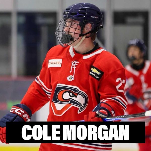 Player Profile 2026 cole