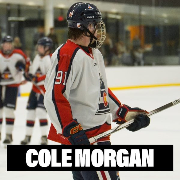 Player Profile 2026 copy