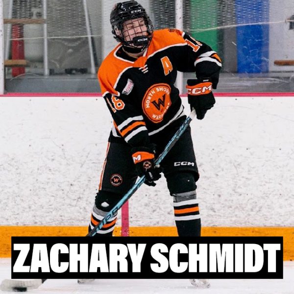 Player Profile 2026 copy