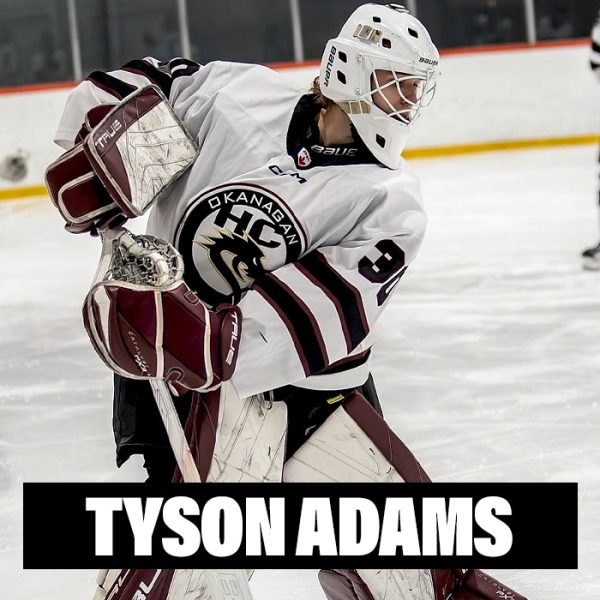 Player Profile 2026 copy