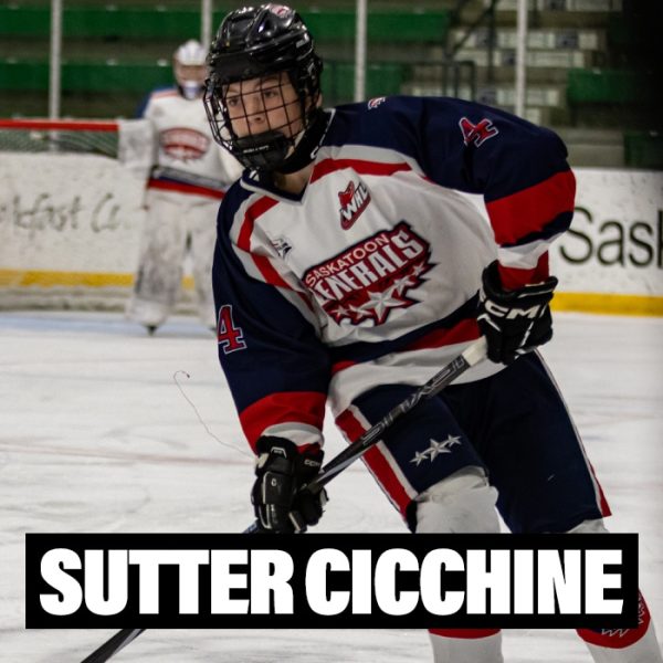 Player Profile 2026 copy