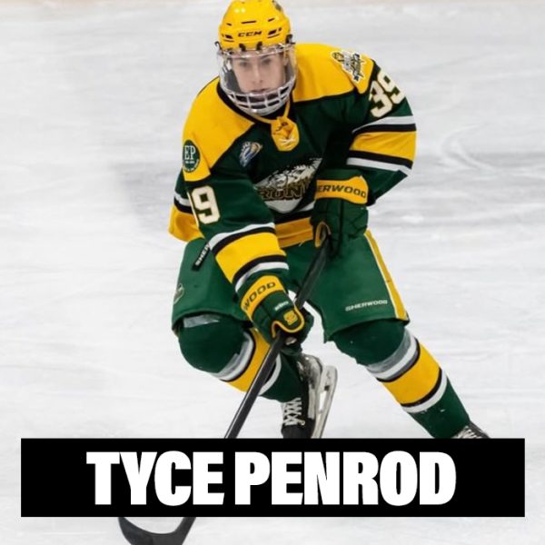 Player Profile 2026 copy