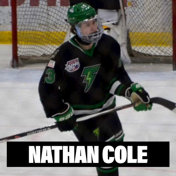 Player Profile 2026 copy