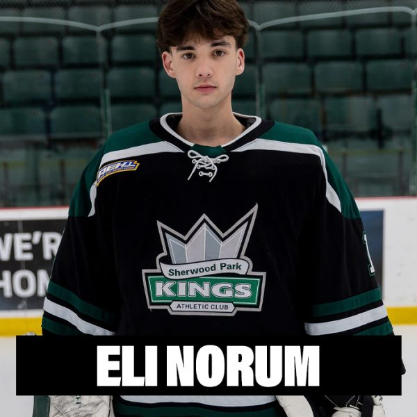 Player Profile 2026 copy