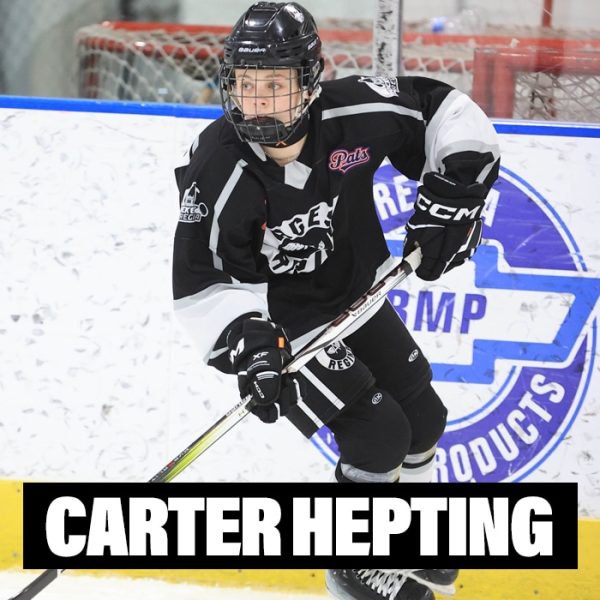 Player Profile 2026 copy