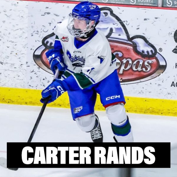 Player Profile 2026 copy2