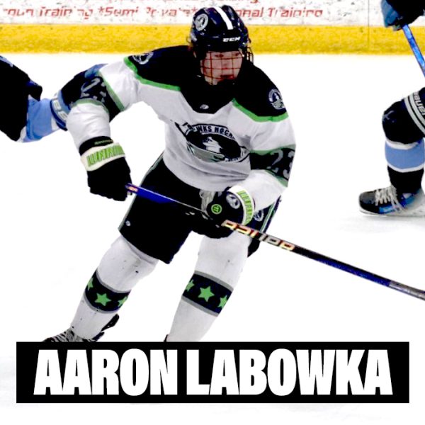 Player Profiles 2024 Aaron Labowka