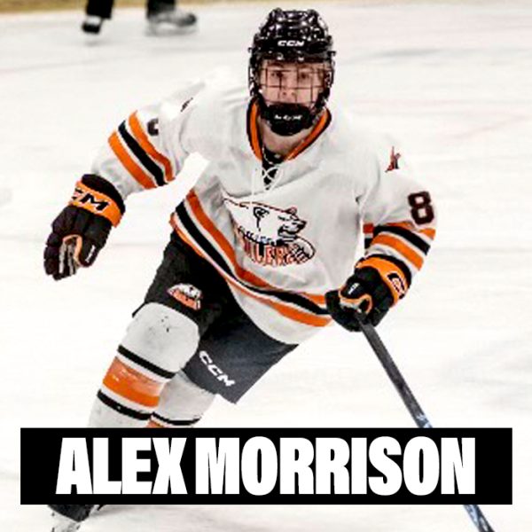 Player Profiles 2024 Alex Morrison