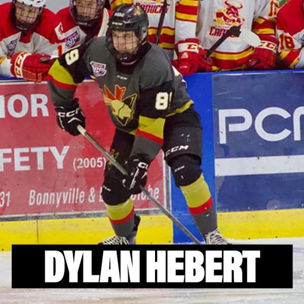 Player Profiles 2024 Dylan Hebert