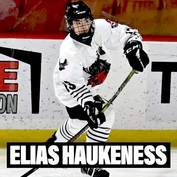 Player Profiles 2024 Elias Haukeness