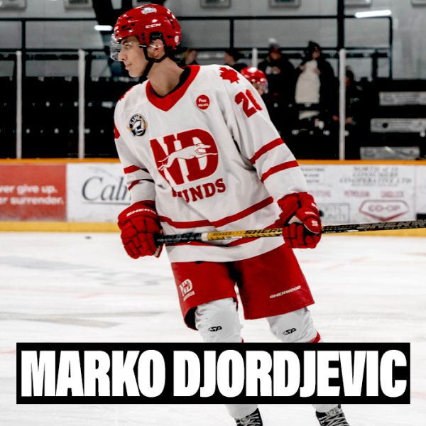 Player Profiles 2024 Marko Djordjevic