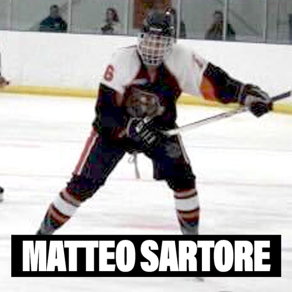 Player Profiles 2024 Matteo Sartore Player Profiles 2024 Matteo Sartore