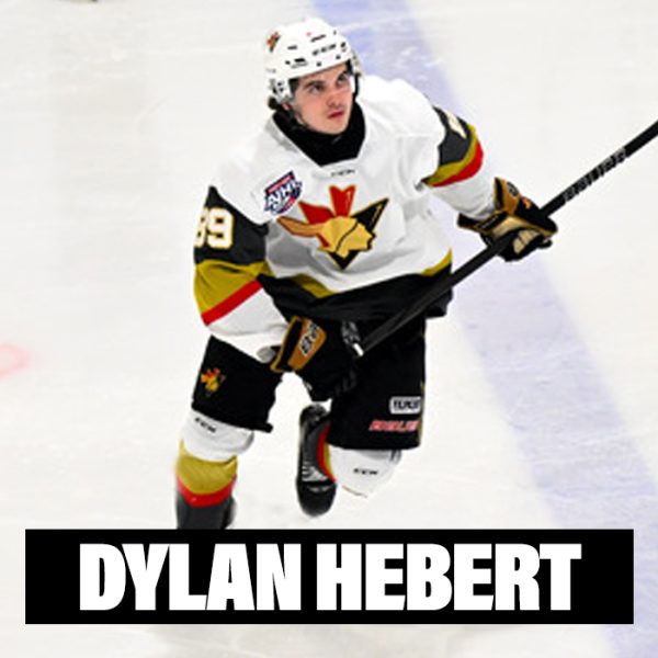 Player Profiles 2025 Dylan Hebert